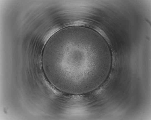 X0000100840850200806201149