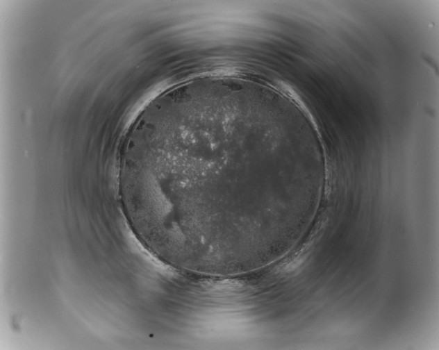 X0000100840851200806201149