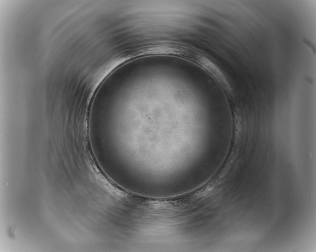 X0000100840852200806201149