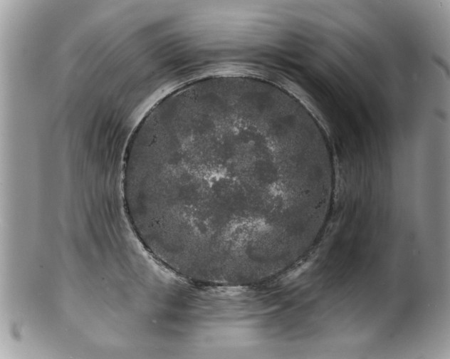 X0000100840853200806201149