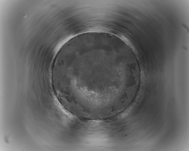 X0000100840854200806201149