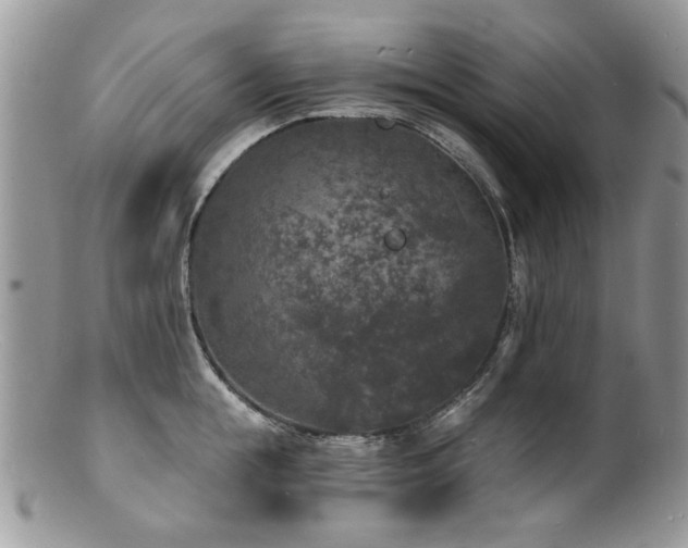 X0000100840855200806201149