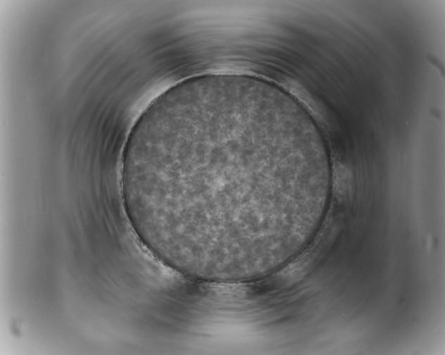 X0000100840856200806201149