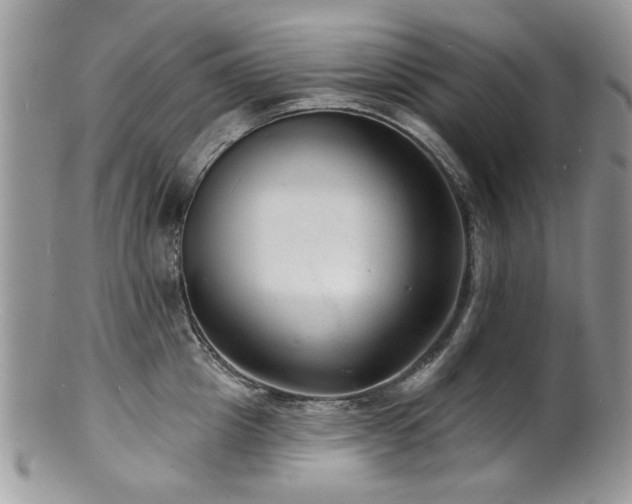 X0000100840857200806201149