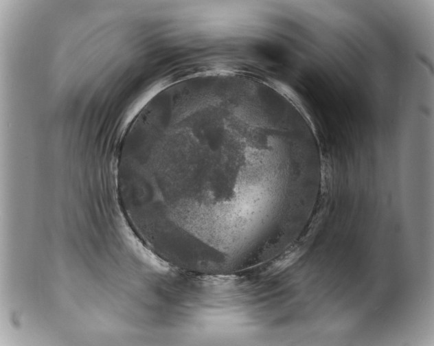 X0000100840859200806201149