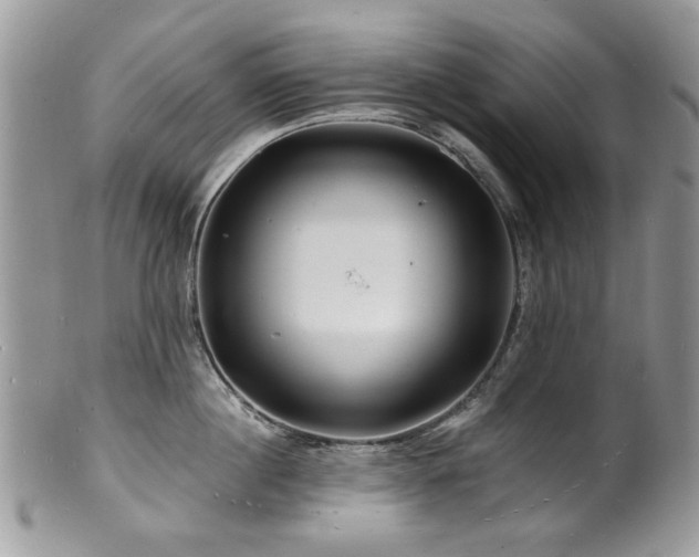 X0000100840860200806201149