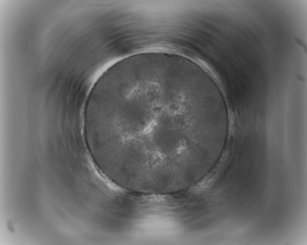 X0000100840862200806201149