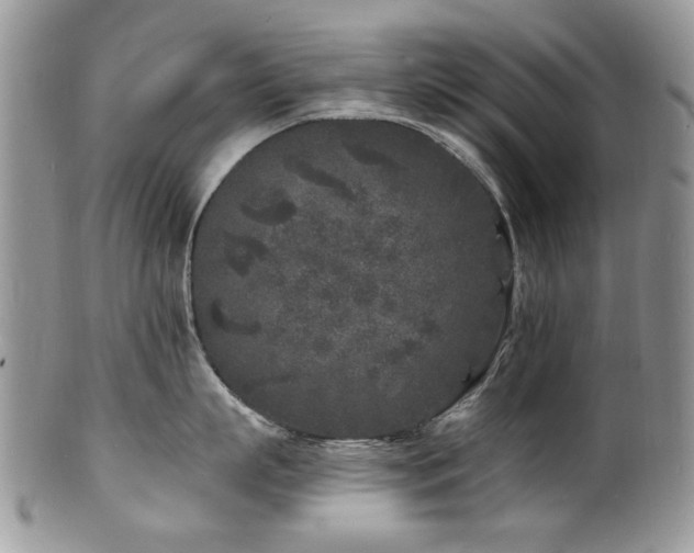 X0000100840863200806201149