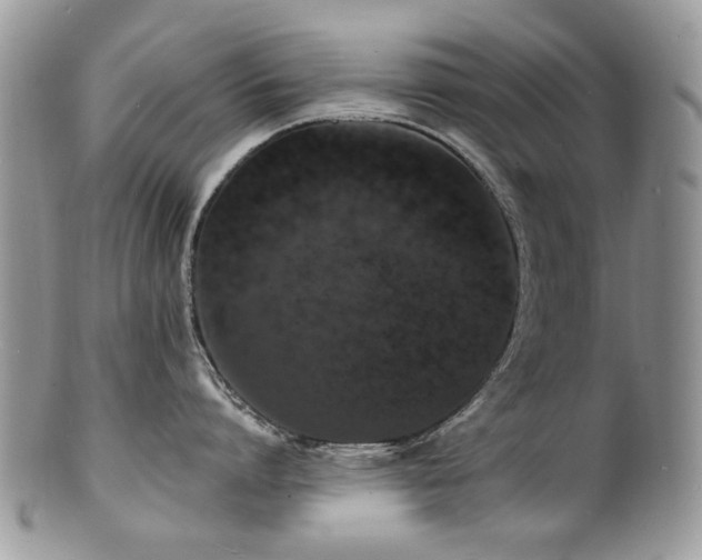 X0000100840864200806201149