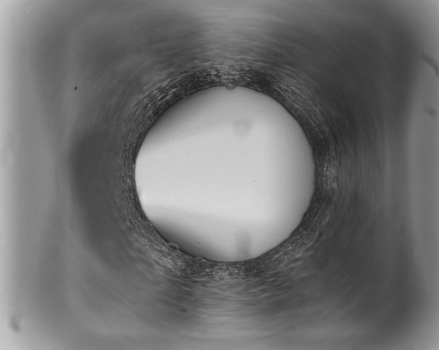 X0000100840865200806201148