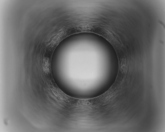 X0000100840866200806201148