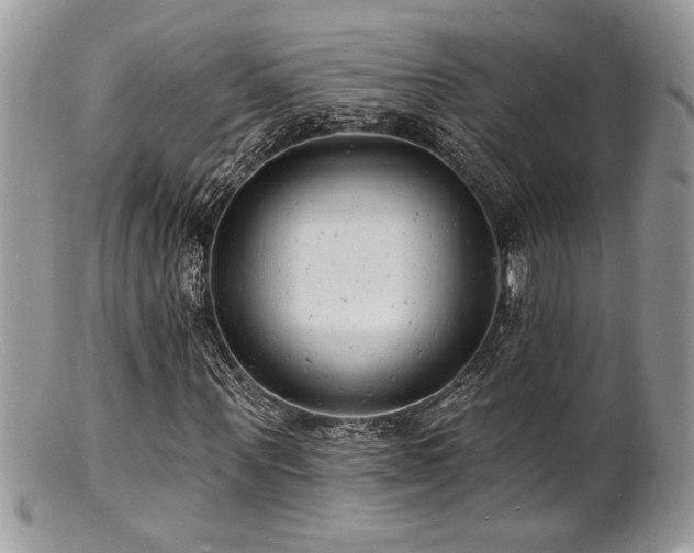 X0000100840867200806201148