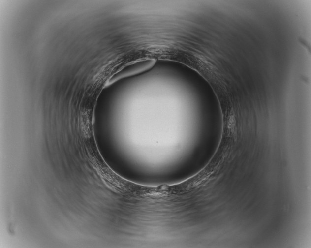 X0000100840868200806201148