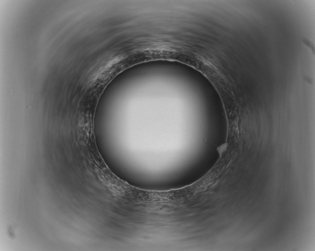 X0000100840870200806201148