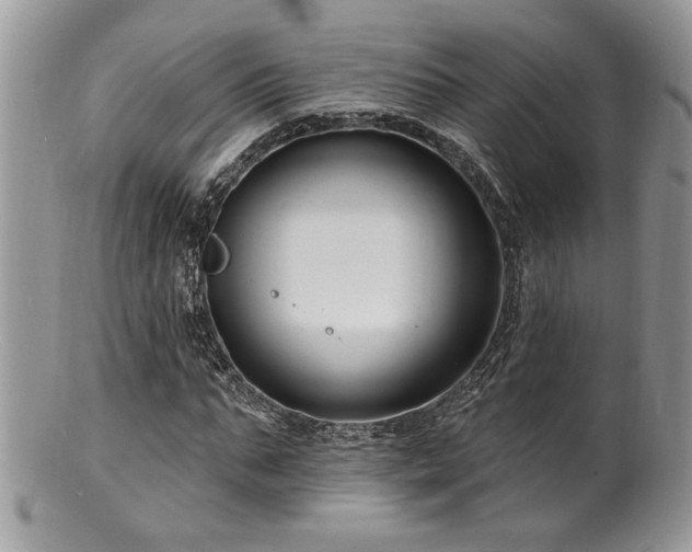 X0000100840871200806201148