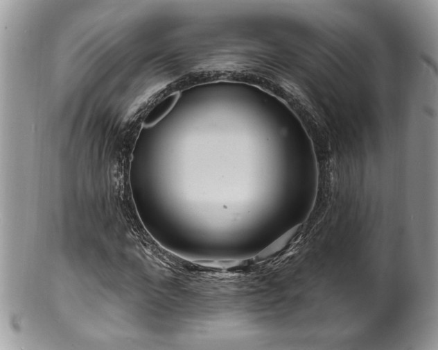 X0000100840872200806201148