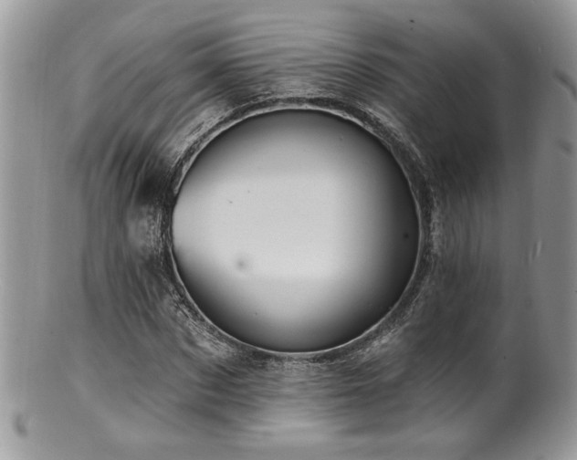 X0000100840873200806201148