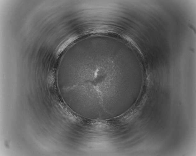 X0000100840874200806201148