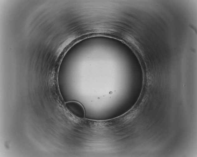 X0000100840875200806201148