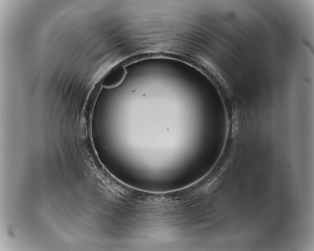 X0000100840876200806201148