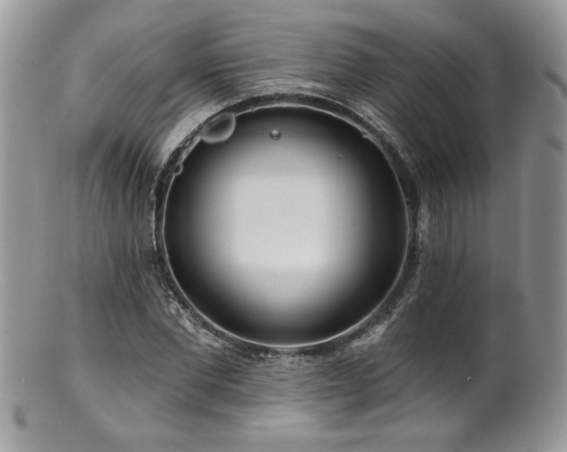 X0000100840877200806201148