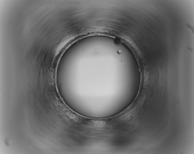 X0000100840878200806201148