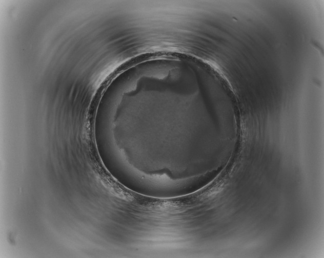 X0000100840879200806201148