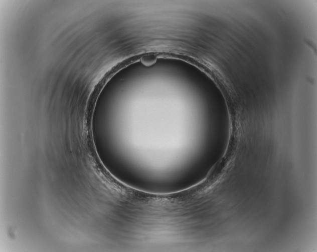 X0000100840880200806201148