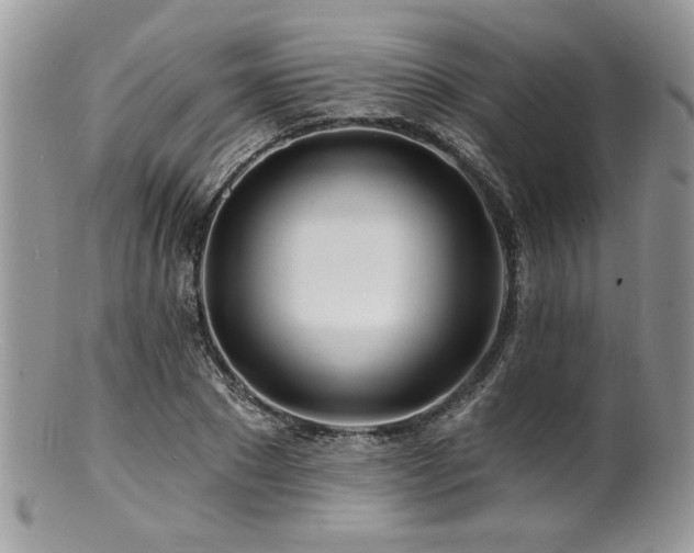 X0000100840881200806201148