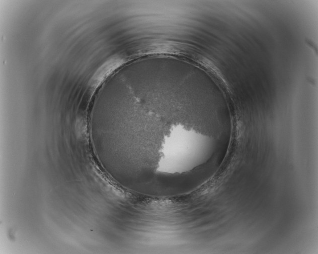 X0000100840882200806201148