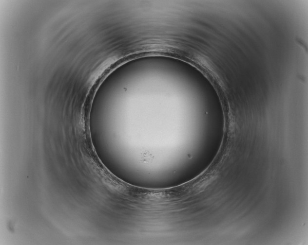 X0000100840883200806201148