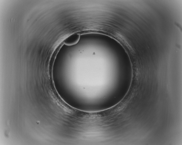 X0000100840884200806201148