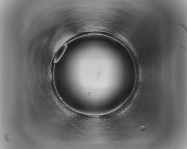 X0000100840885200806201148