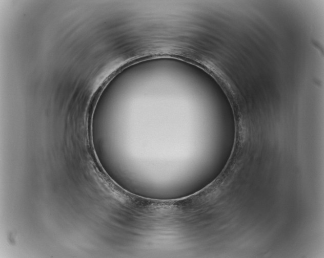 X0000100840886200806201148