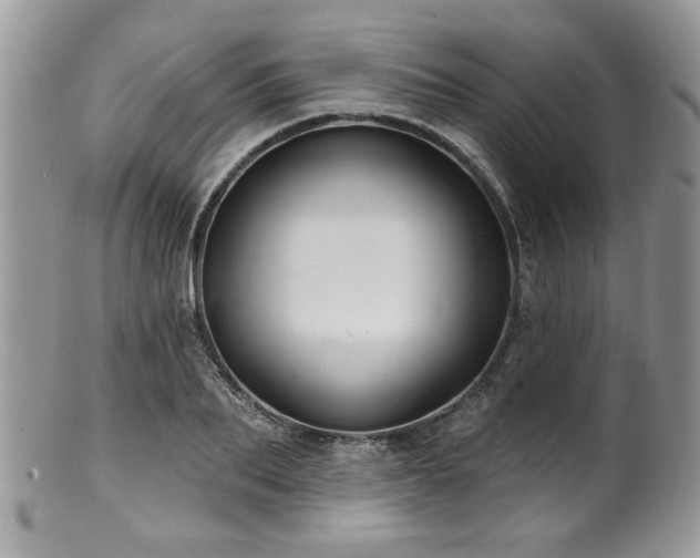 X0000100840887200806201148