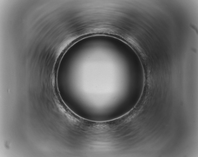 X0000100840888200806201148