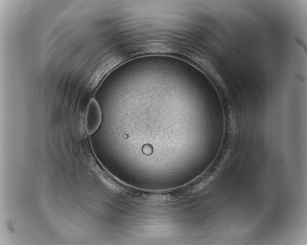 X0000100840889200806201148