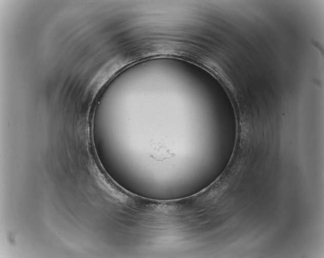 X0000100840890200806201148