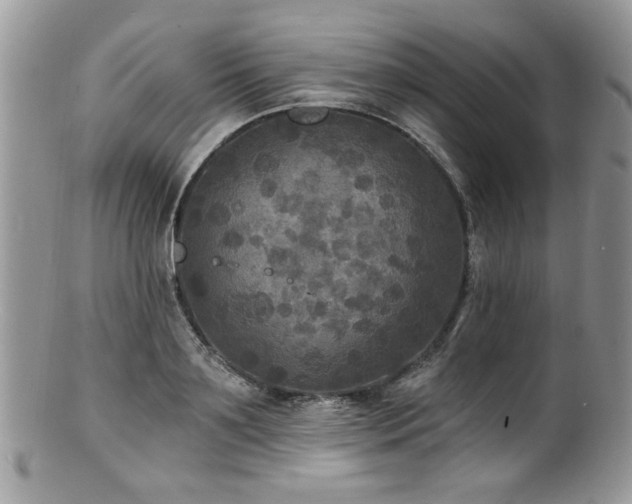 X0000100840891200806201148