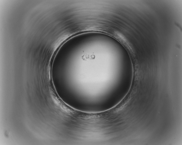 X0000100840892200806201148