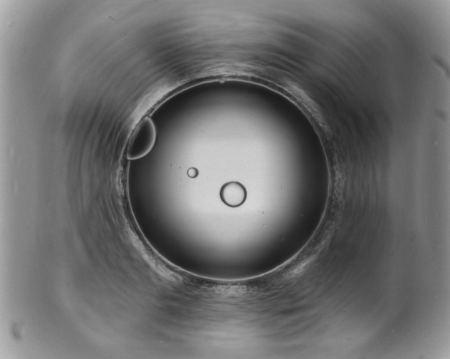 X0000100840893200806201148