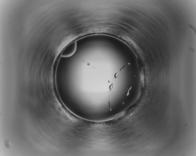 X0000100840894200806201148