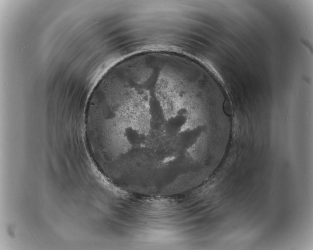 X0000100840895200806201148