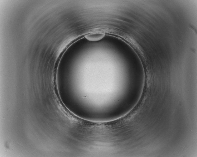 X0000100840896200806201148