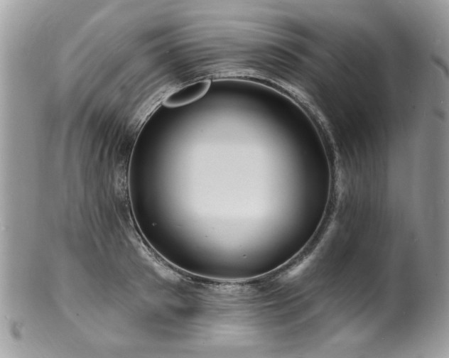 X0000100840897200806201148