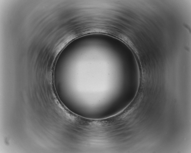 X0000100840898200806201148