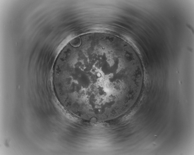 X0000100840899200806201148