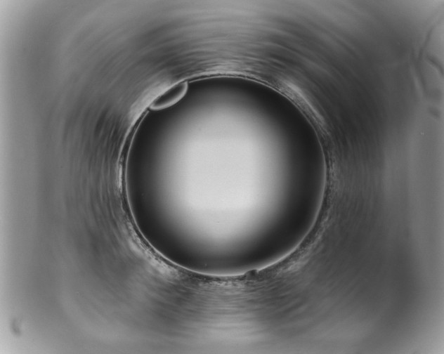 X0000100840900200806201148