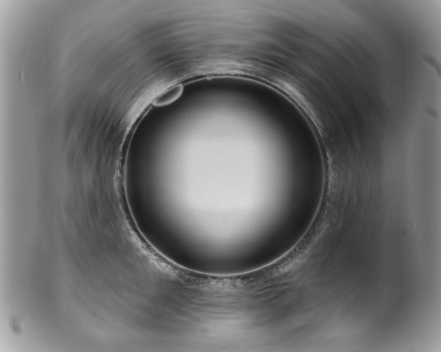 X0000100840901200806201148