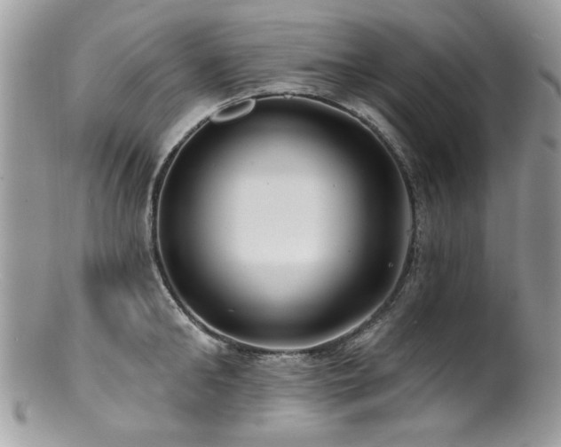 X0000100840902200806201148